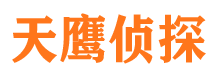 河口侦探公司